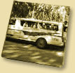 Travels, Road Trips & Others