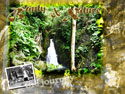 Beauty of Nature